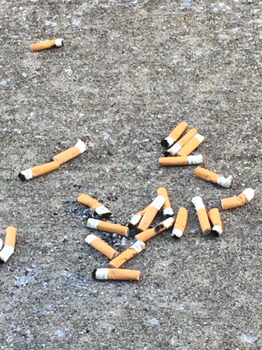 julielntaylor's tweet photo. If you’re the one who dumped this, please stay home on November 6 https://t.co/WYvcsVTVTO