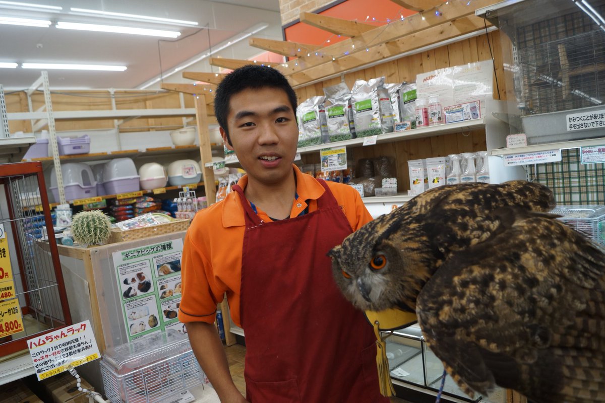 ビバホーム埼玉大井店