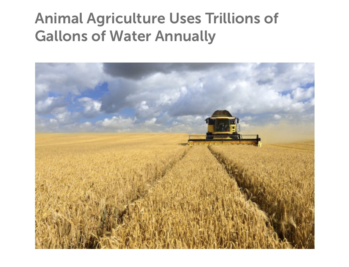 bananabillll's tweet image. Just found out I’ve been cheated on so here is a collection of pictures I wasn’t “allowed” to post :) enjoy