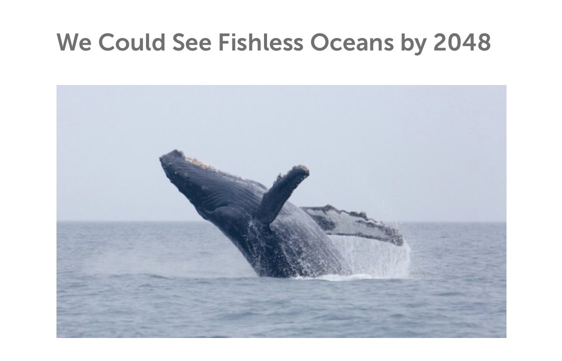 bananabillll's tweet image. Just found out I’ve been cheated on so here is a collection of pictures I wasn’t “allowed” to post :) enjoy