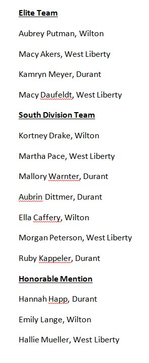 Locals on RVC All-Conference teams. #iahsvb