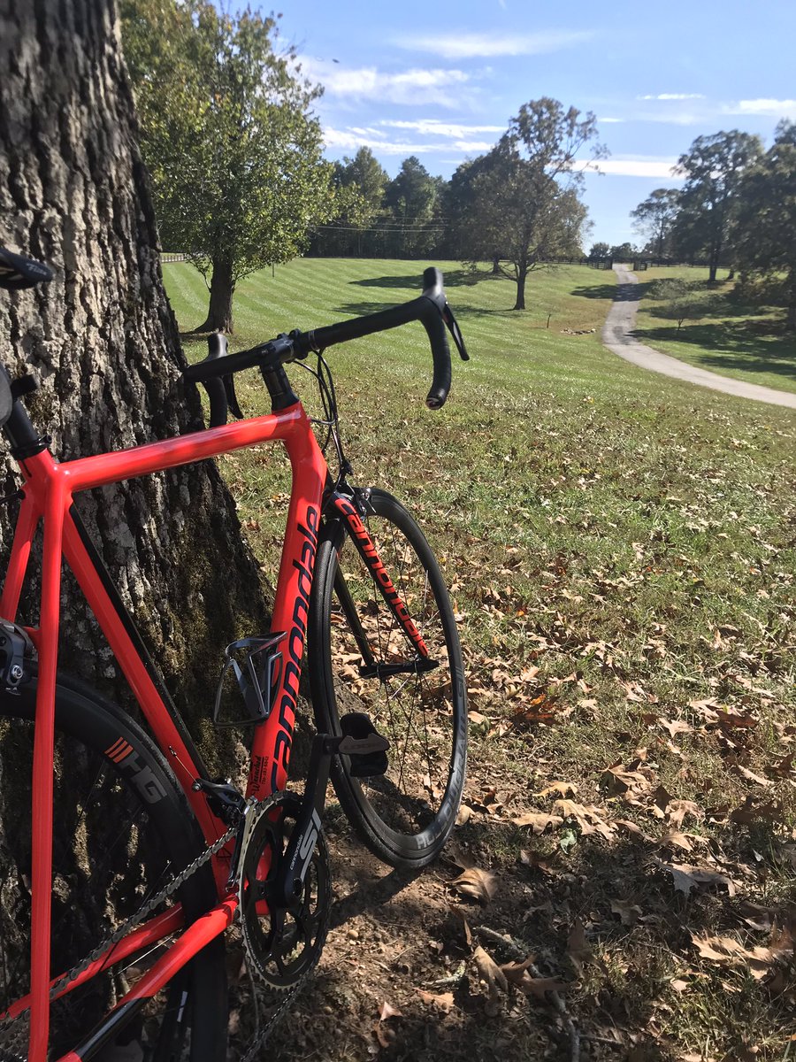 chaseelliott's tweet photo. Perfect weather for an afternoon ride on the @RideCannondale 🚲 🤙🏼 https://t.co/LAyv90j3vY
