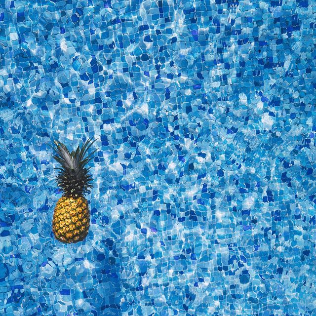 JElliot_Home's tweet image. Never thought I&apos;d be jealous of a pineapple but here we are.. #EndOfWeekThoughts #FriYay
.
.
.
.
.
.
.
.
.
.
.
.
.
.
.
.
.
.
.
.
.
.
.
.
.
.
.
.
.
.
.
.
.
.
.
.
.
.
.
.
.
.
.
.
.
.
.
.
.
.
.
.
.
.
.
.
.
.
.
.
.
.
.
.
.
.
.
.
.
.
.
.
.
.
.
.
.
.
.
. .
 #home #homedesign #cush…