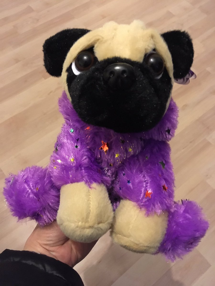 DarbyshireDebs's tweet photo. Been to Blackpool lights tonight - meet the new member of the family #grabbingmachine https://t.co/6RaYutXk0Q