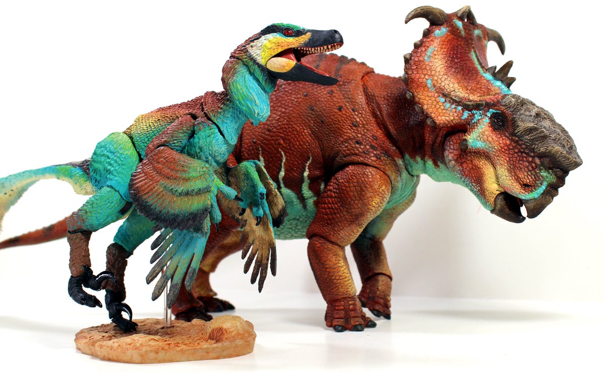 pachyrhinosaurus toy