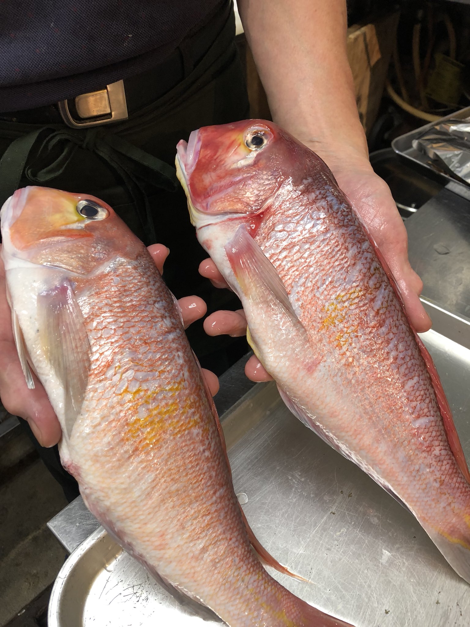 西浅草しばた和助 本日 山口より入荷中 極上の甘鯛の湯引き刺身 頭は酒蒸ししてポン酢でいかがですか 刺身780円酒蒸しは 0円 T Co Mw0l6uveqh Twitter