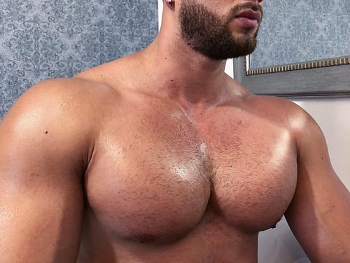 #Gaymuscle #live #musclecam Fabian Ayala at https://t.co/zDbZsDyOz5! https://t.co/CUbus6R9xZ