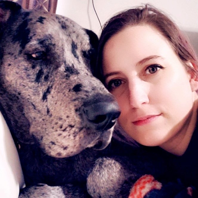 CeleblasM's tweet photo. If you can't love on your #greatdane then what are you even doing with your life? #babythor #lovemyweirdo #derpnumbertwo #sillyboy #brat #bigbaby #myheart #micorazon https://t.co/wJyg1Ey3mi