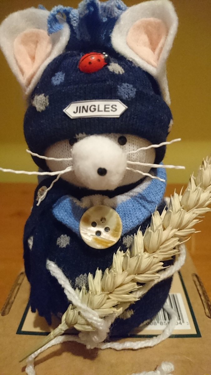 CornellTracey's tweet photo. Mr Jingles House Mouse. Made for @SamRussellBooks to celebrate the completion of #PlainBarny 🐁 #Sockmouse #mouse #socks #nosewmouse #crafting #hobby #MrJingles https://t.co/9jojF40Mgp