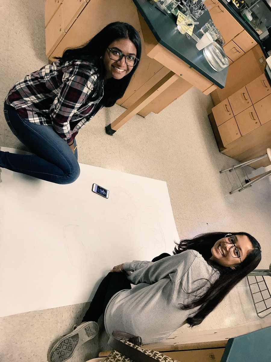 LindenhurstNHS's tweet photo. Our probates were hard at work today for our first day of decorating for Treat or Treat at Charles Street! Remember to stop by to earn some decorating hours👍🏼 https://t.co/qNDEEzPW2s