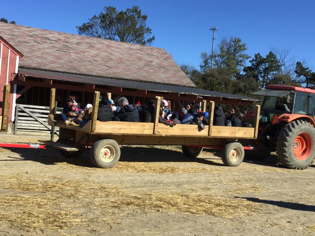 Angelika Gadlage tweet media