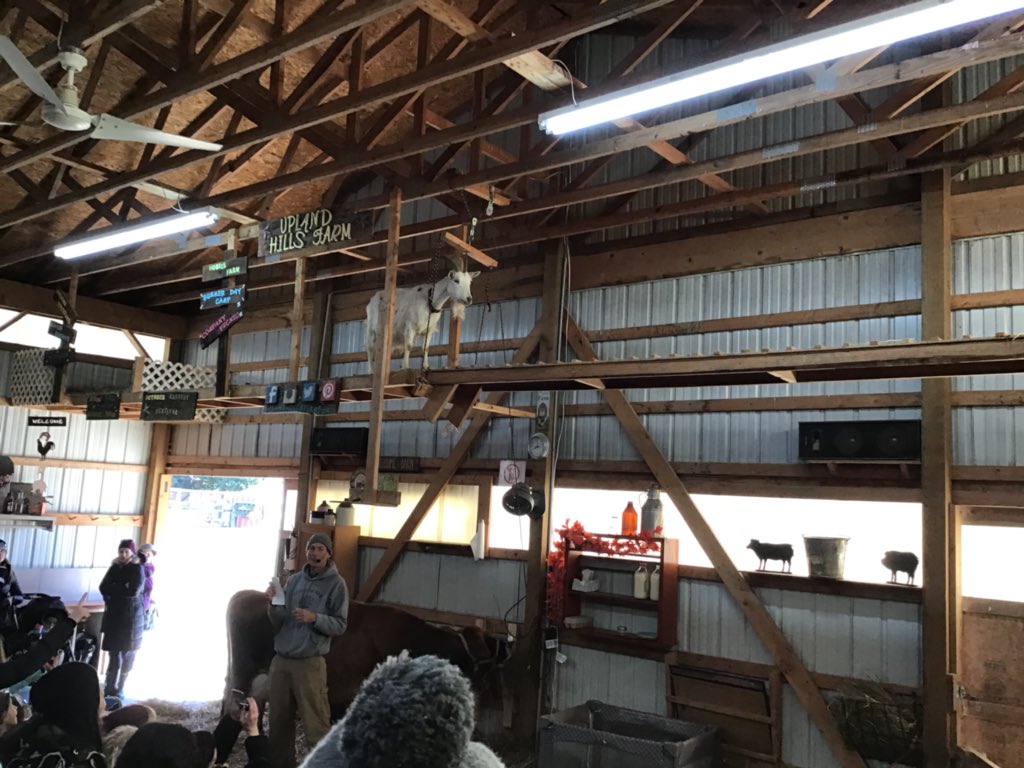 Angelika Gadlage tweet media