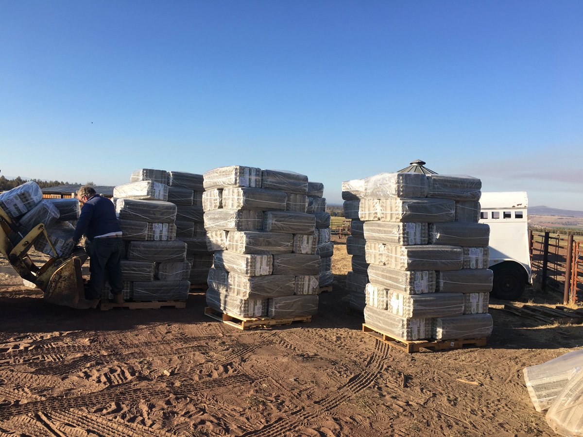 A Greener World is a big dream for the whole team &amp; we're moving towards it all the time. This huge delivery of egg cartons for AGW-certified farmers arrived early, &amp; the team + community pulled together to unload it! Check out how in our instagram stories-@agreenerworldorg