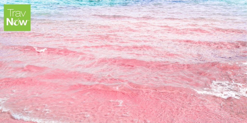 Need a beach getaway? Consider Pink Sand Beach, Bahamas!

#harbourisland #pinksandbeach, #atlanticocean #theabahamas #bahamas #eleuthera #travel #booknow #savenow #travnow #travagent #beachlife #beachbum #wanderlust #lovetotravel #beach #getaway #blockchaintravelleader