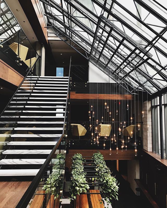 thejohnrothman's tweet photo. Distinctly captivating. @hotelwilliamgray https://t.co/TYchnTOInM https://t.co/H7NAt0NM8r