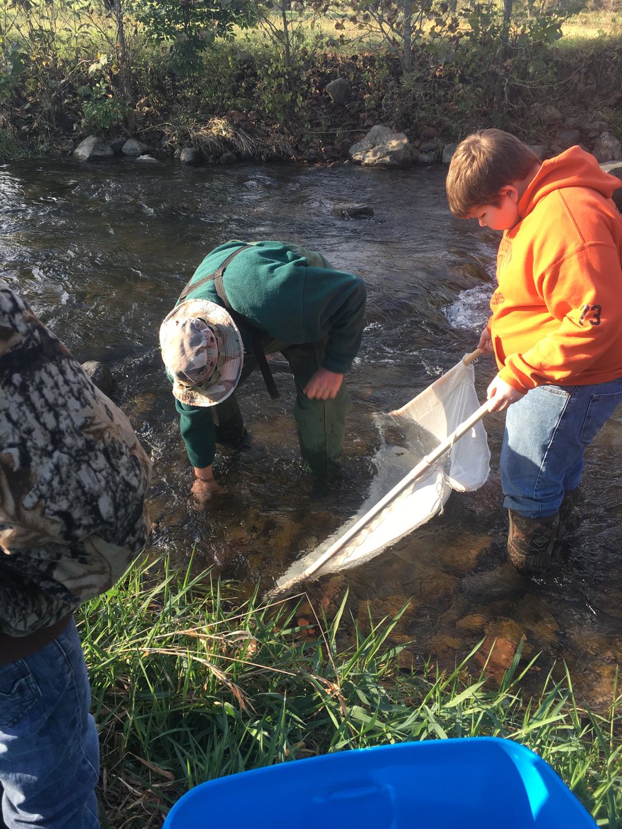 The net has to be just right to conduct our stream study. #vesbathschoolsrock