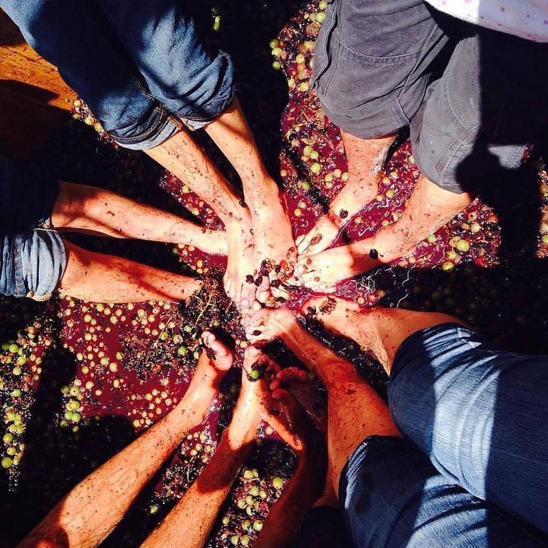 AutumnPriscilla's tweet photo. Who's done this before?? Looks fun! 📷@cava_57 🍾
.
.
.#winetastingclub #winetasting #winestagram #wine #winetastings #winelover #winetastingfun #winetastingtour #winetastingparty #winetastingweekend #winetastingday #winetastingevent #winetime #winelovers #winery #winelife https://t.co/TYOhpFEey8