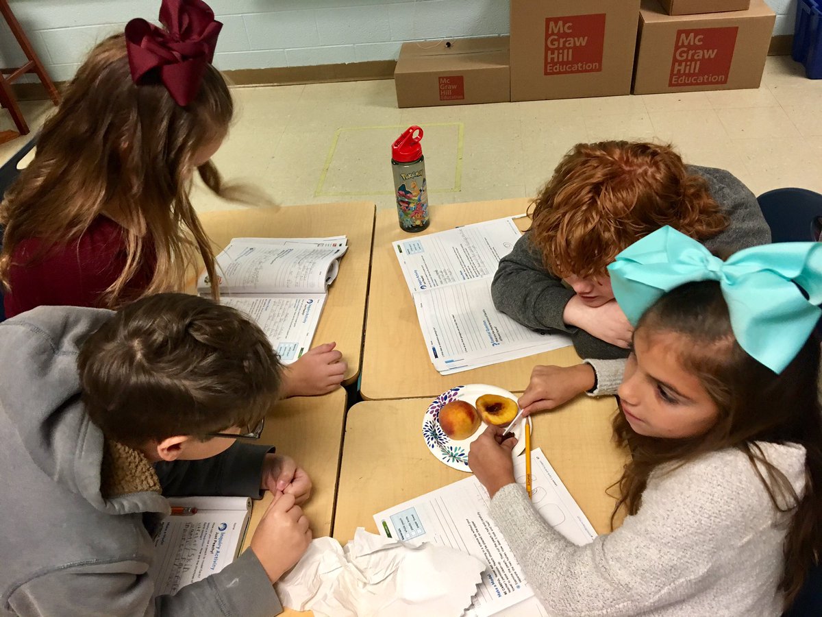 sheryl_sensing's tweet photo. @sbes_bobcats 4th grade science students rocked their inquiry activity today comparing the layers of a peach to the layers of the Earth! ✏️ 🍑 📋 @DCBE @DLWeeks83 @ErnestineAdams  @AmandaAmnicks https://t.co/USGrgLECHG