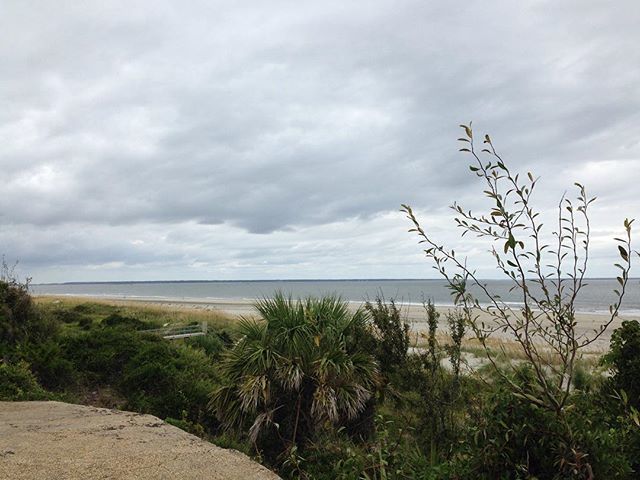 oceanfronttybee's tweet photo. We welcome cooler temps today in the 70s! Hello Autumn 🍂🍁 #vacation #tybeeisland #oceanfront #oceanview #beaches.
.
.
.
. #fall #autumn #october#evelyns #oasis #weather #savannah #visitsavannah #dolphins #vacationmode #relaxing https://t.co/AxbRauvg4g https://t.co/7yS0PTab0v