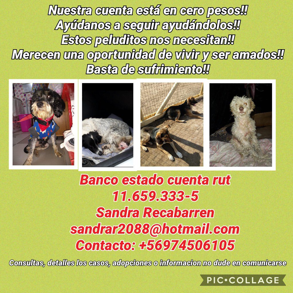 Necesito ayuda para poder seguir avanzando, con sus aporte se puede continuar 🙏🏻