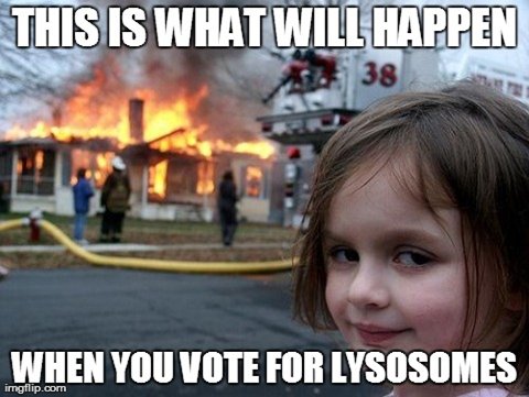 SmoothE97703294's tweet photo. Lysosome is here wanting ur vote by boasting about the digestive system but let’s be honest.. we need more than a good digestive system to correctly run a cell. Isn’t it ironic that an L is what it starts with and an L Is what it’s about to take? 
Source: https://t.co/boVu6CGxJK https://t.co/9HcfQDvsBs
