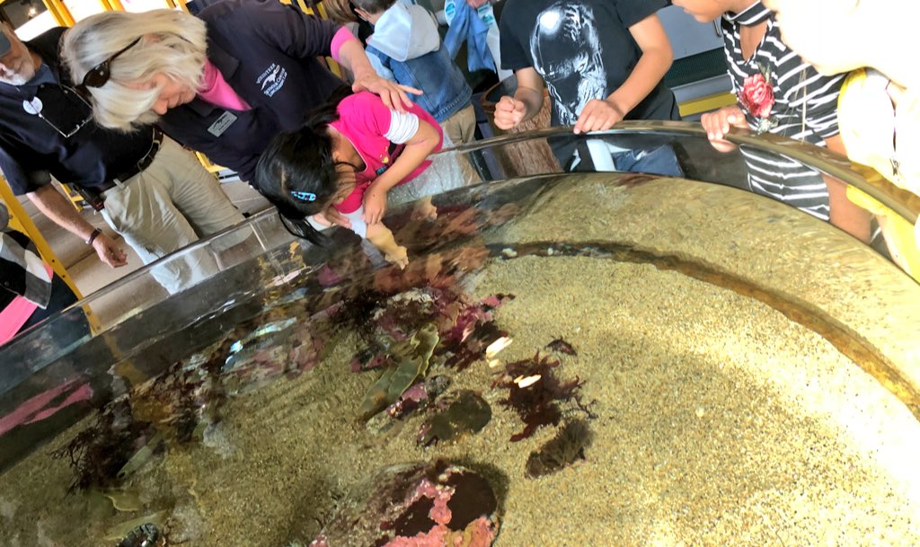 Students enjoyed observing monarch butterflies, touching a swell shark and learning about the ocean ecosystem! I’d call that a successful field trip! #usdLearns #LietzPride #seymourcenter #2ndchat