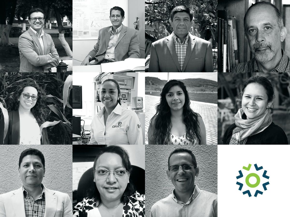 cemiebioalcohol's tweet photo. Equipo - CEMIE·BIO alcoholes https://t.co/c7u6bLwSpM https://t.co/NpH694NB56