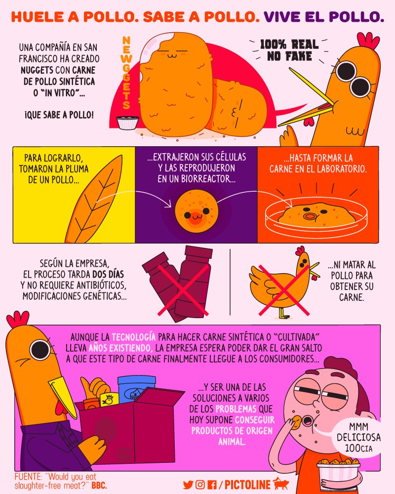 pictoline's tweet photo. Huele a pollo. Sabe a pollo. Vive el pollo 🐓✨

Carne sintética de pollo a partir de las células de una sola de sus plumas 😱 https://t.co/kWzXjLcQLj