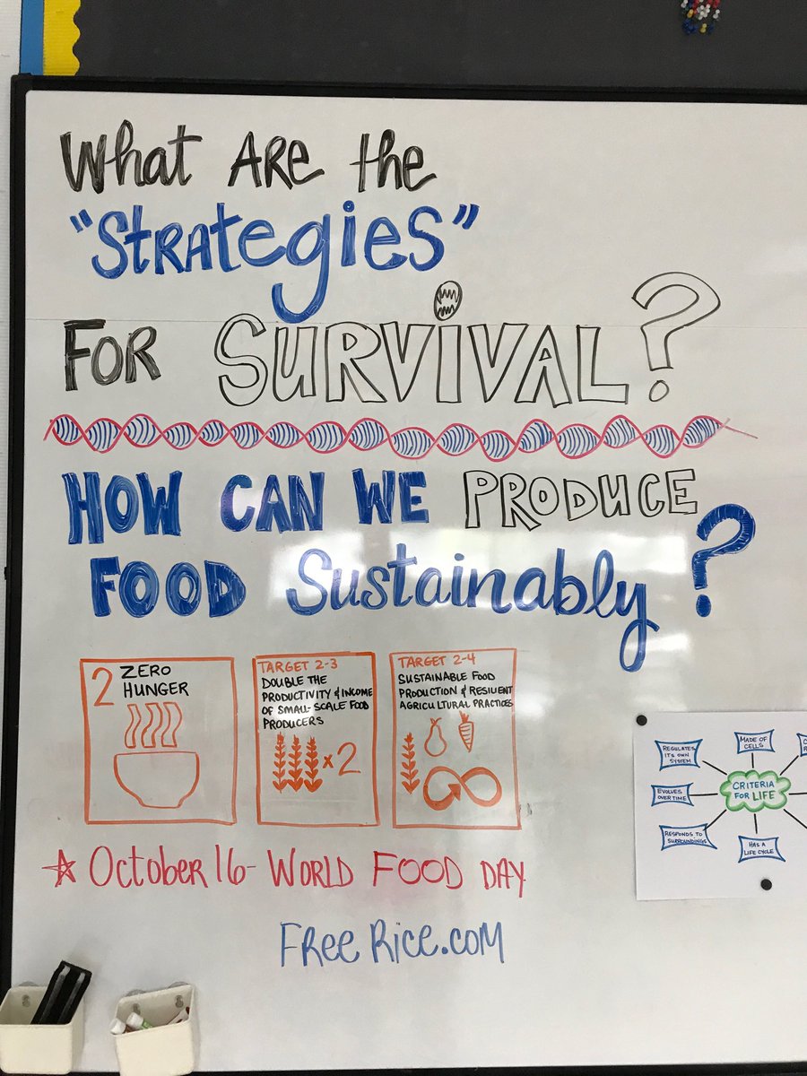 christophe_enry's tweet photo. RT MSNagaNaga "RT D_Machacek: SDG’s providing relevant learning opportunities for grade 7 science. #msjis #jisedu ⁦inspirecitizen1⁩ ⁦inspirecitizen2⁩ https://t.co/jLMtSP4JLE"