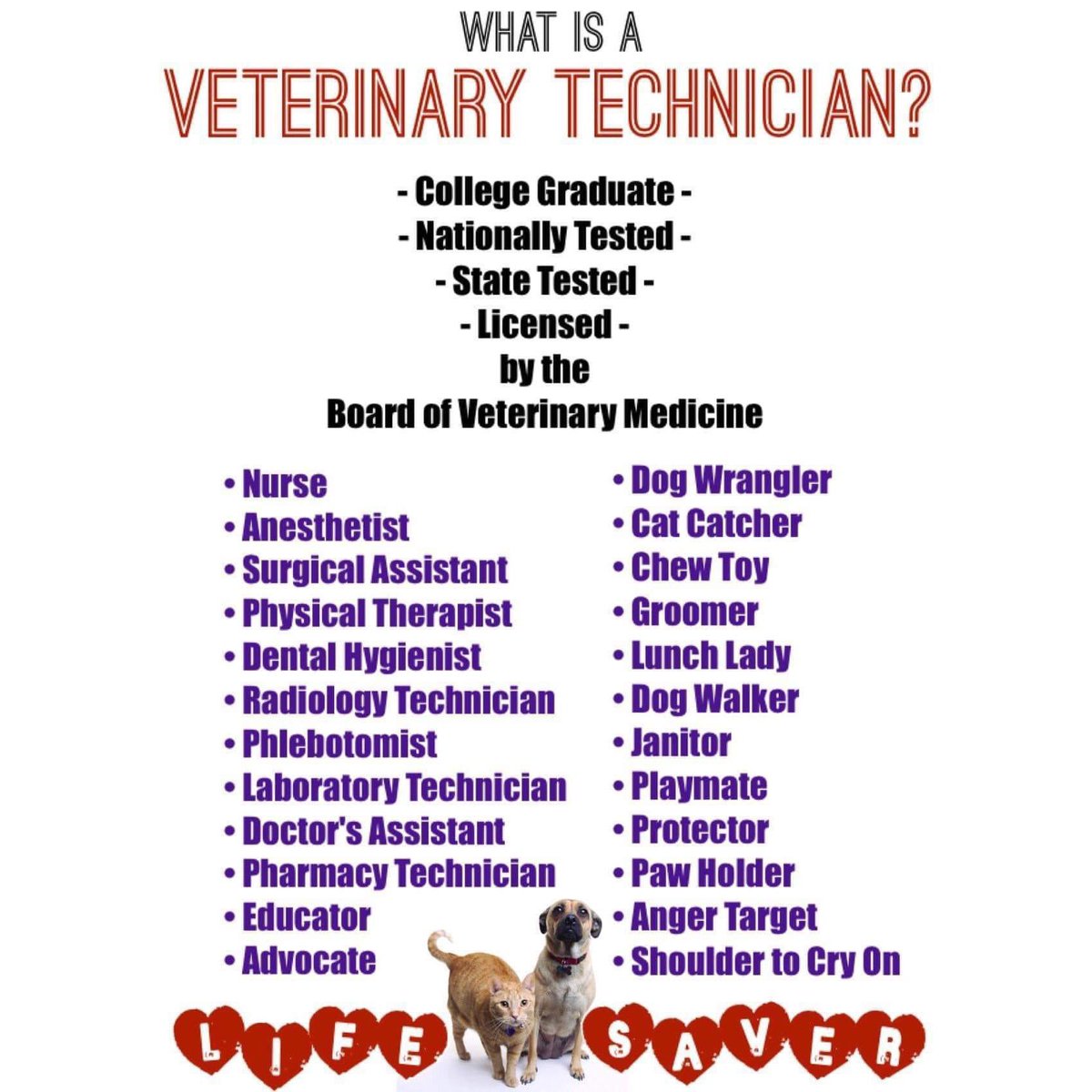 vet tech appreciation week 2021 memes Risa Mcmahon