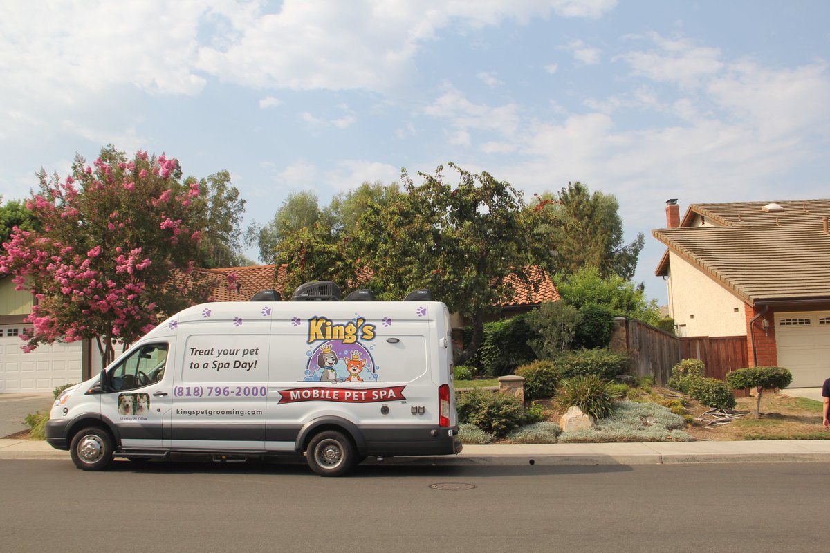 kings mobile pet spa