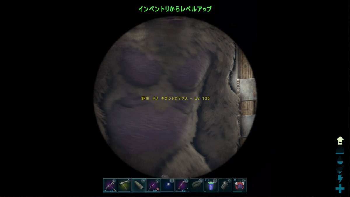 Lay 1230 昨日同じ鯖のゴリラ好きがゴリラテイムしてるっていうから見学 艸 トラップ入れてやってたから近づけずに隙間から望遠鏡で観察 紫のゴリラでテイム後 ちゃんと見たら結構濃い目の紫だったけど マントヒヒみたいって言ったら斧持って Lay 1230 昨日同じ鯖のゴリラ好きがゴリラテイムしてるっていうから見学 艸 トラップ入れてやってたから近づけずに隙間から望遠鏡で観察 紫のゴリラでテイム後 ちゃんと見たら結構濃い目の紫だったけど マントヒヒみたいって言ったら斧持って