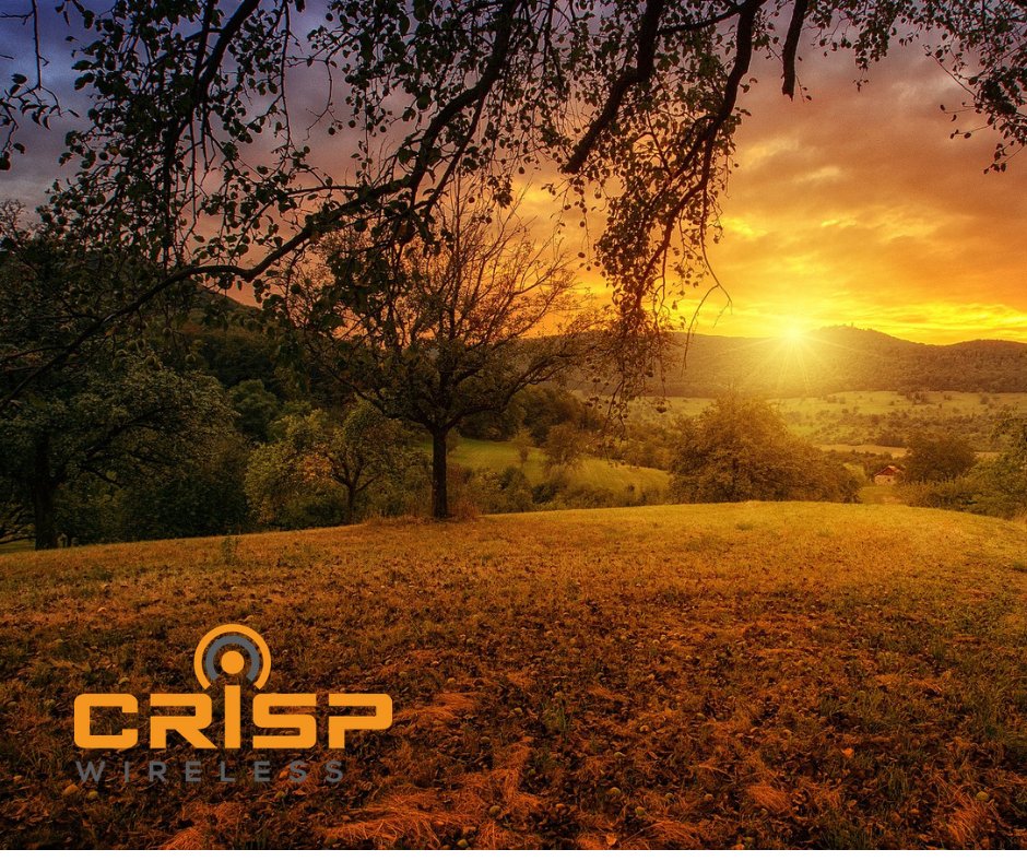 Crisp Wireless tweet media