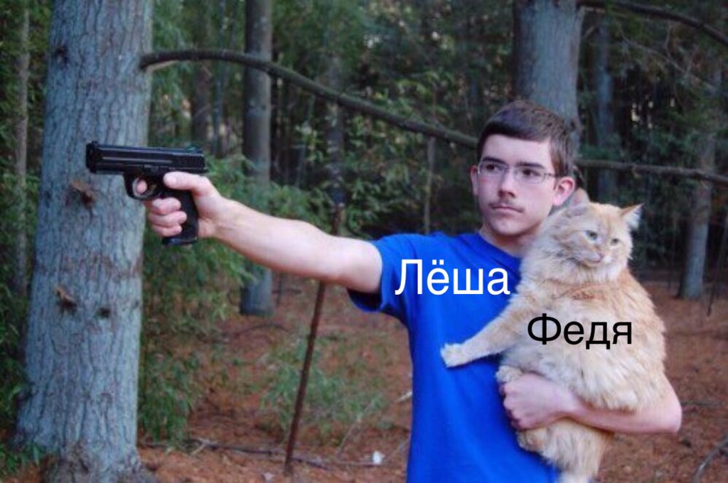 Кот с пистолетами мем
