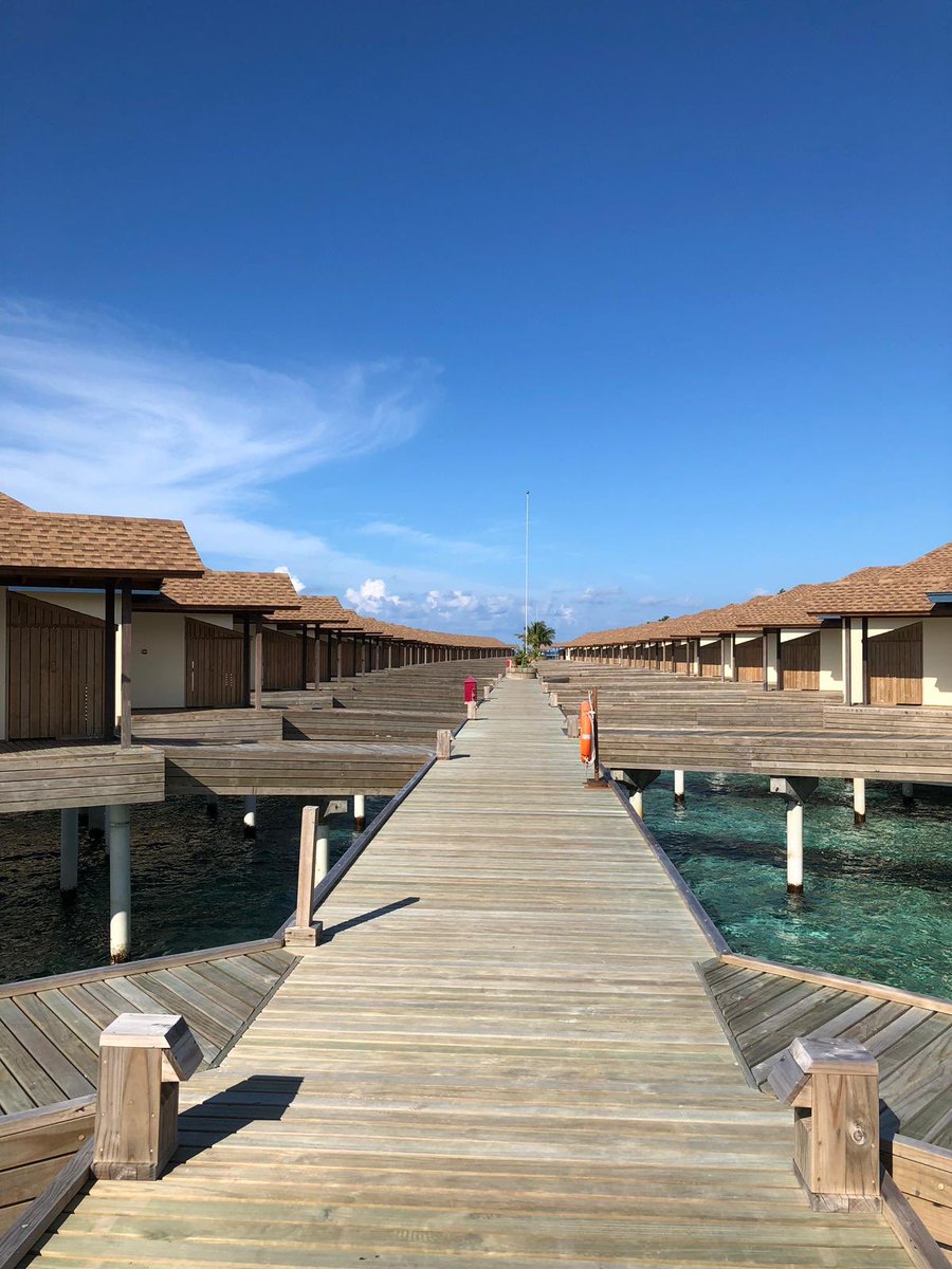 Impressionen aus dem Malediven Urlaub 🦈 🌴☀️ #malediven