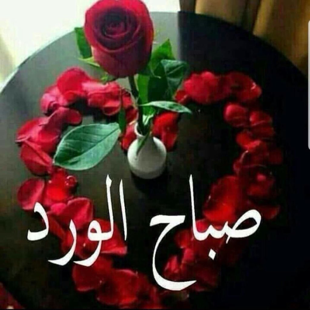 <a href="/Maya_5020/">آآآنين القلب</a> <a href="/K6Mt0MButtl5nEW/">سيد الكلمات الكاتب</a> <a href="/Awtarquithara/">أوتار القيثارة</a> @qythara__ @jo_____sul <a href="/Alridab_Group/">مملكة  الرضاب</a> <a href="/al___nay/">قروب الناي RTS</a> ما أجمل الصباح حين ينثر عبيره علي قلوب طيبه متفائله وأمل يتجدد 
بالطيبه والحب والتسامح ،،،
صباح الإبتسامه المشرقه