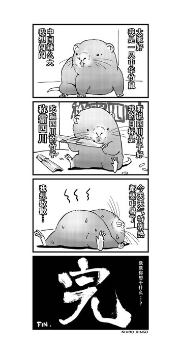 #竹鼠
竹鼠波澜壮阔的一生。 