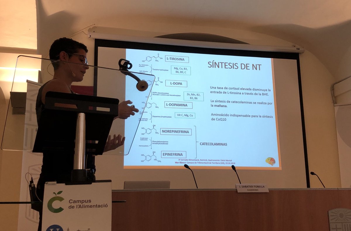 nutresalutDN's tweet photo. Psiconutrición, rol de las vitaminas del grupo B en ansiedad, estrés y depresión con @blanc_mar en jornada @AlimentacioUB #AlimentacióSalutMental #NutricióSalutMental https://t.co/T03yp1NpEY