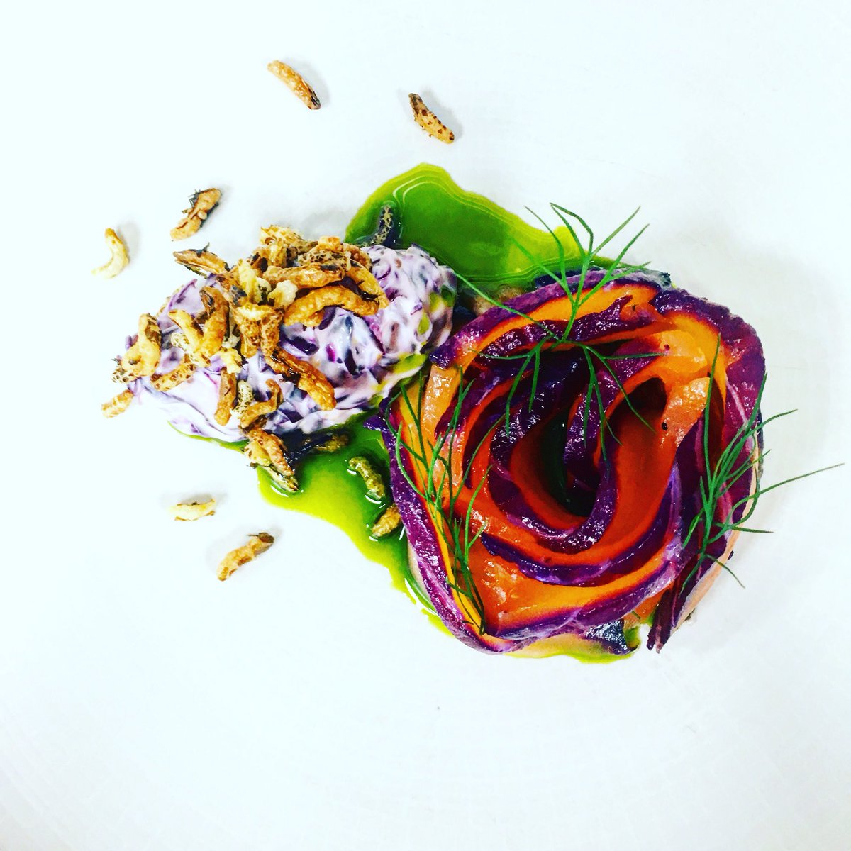 New on the menu this week...Red cabbage cured salmon,red cabbage remoulde,puffed rice and dill oil <a href="/StokePark/">Stoke Park</a> <a href="/HumphrysSP/">Humphry's</a> <a href="/Kingfisher_BXM/">Kingfisher Brixham</a>