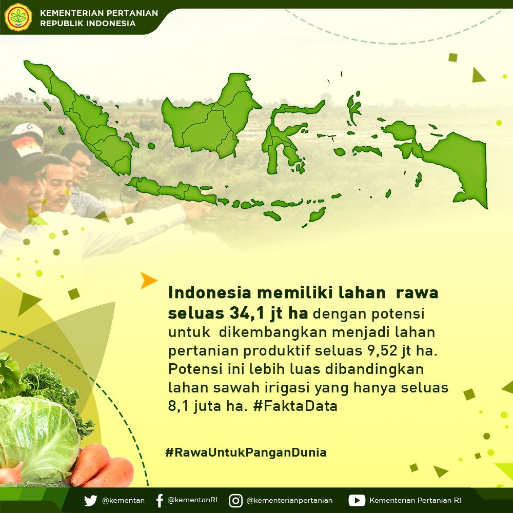 4. Indonesia memiliki lahan rawa seluas 34,1 jt ha dengan potensi untuk dikembangkan menjadi lahan pertanian produktif seluas 9,52 jt ha. Potensi ini lebih luas dibandingkan lahan sawah irigasi yang hanya seluas 8,1 juta ha #RawaUntukPanganDunia #FaktaData #HPS2018