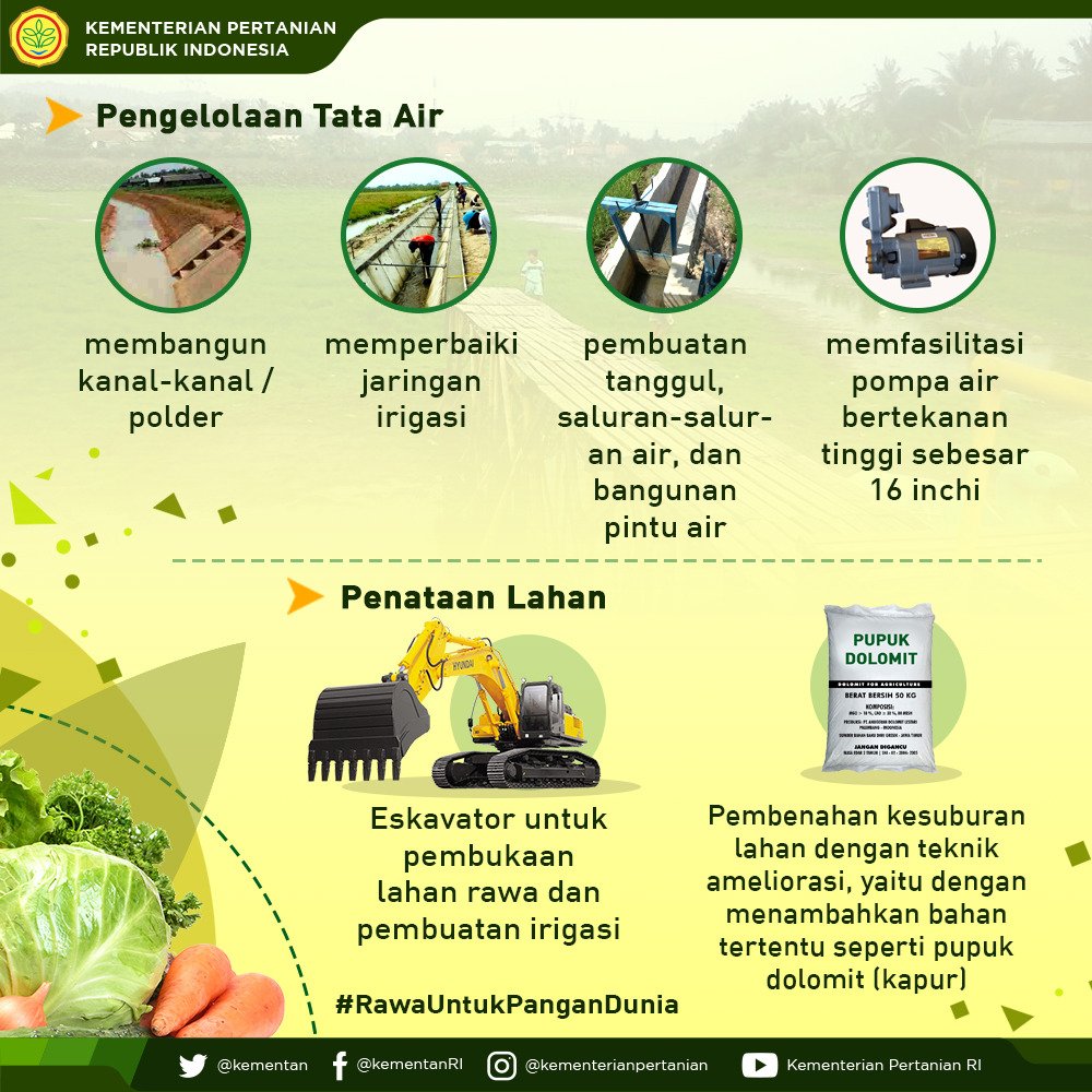 5. Kendala terbesar pada pemanfaatan lahan rawa terdahulu adalah genangan maupun kekeringan yang belum dapat diprediksi. Di #HPS2018 kendala tersebut berhasil diatasi dengan pengelolaan tata air dan teknologi penataan lahan #RawaUntukPanganDunia #PemerintahBekerja