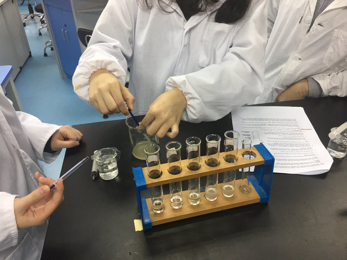 wrpvincent's tweet image. Teaching less these days but I do get into the classroom sometimes. Today’s practical: enzyme inhibition #ibbio #topic8.1 #ibbiochat