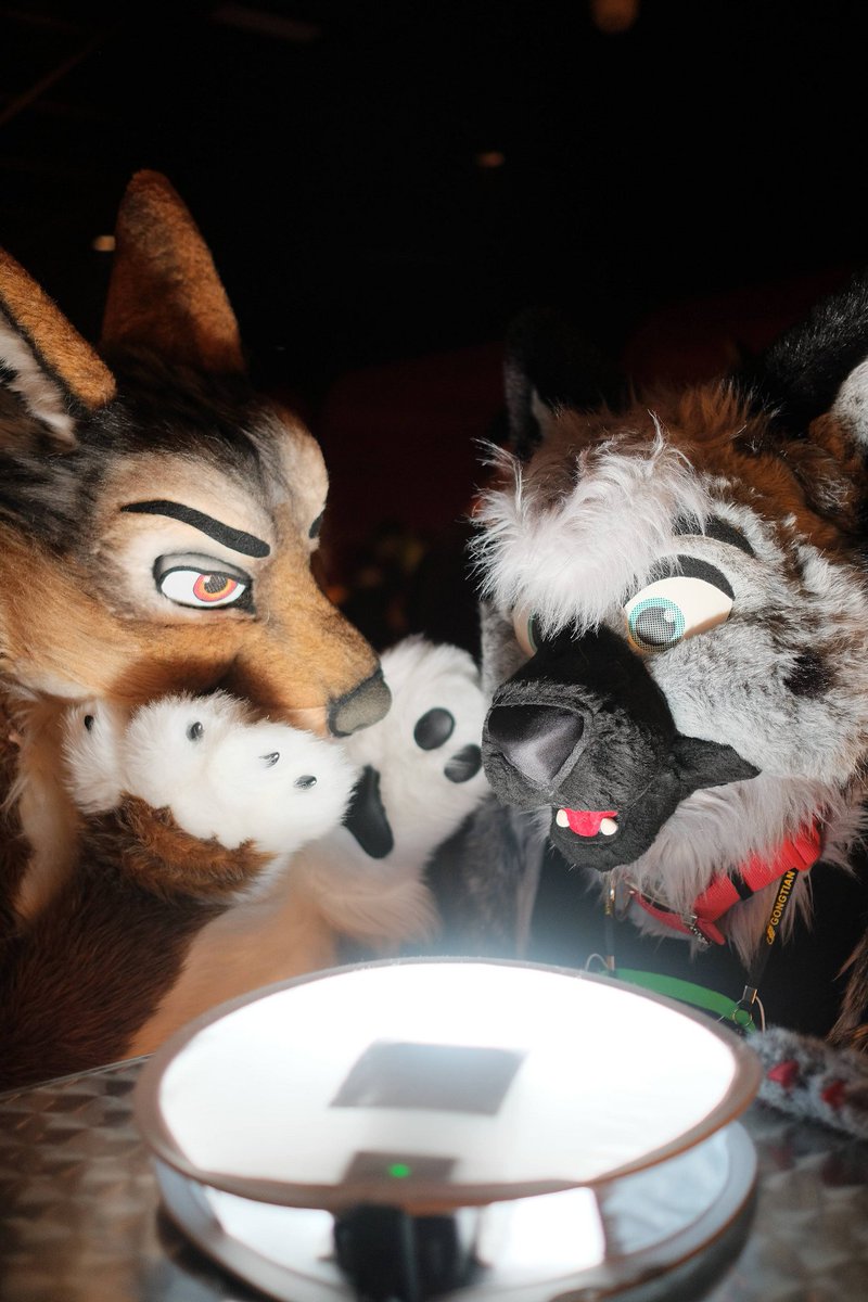 BerionHusky's tweet photo. The days are getting shorter again, so @Tom_Lord and I decided that it'd be a good idea to worship @khakidoggy's light thingy! π
π #FursuitFriday
π #DFD2
πΈ @khakidoggy https://t.co/TW9swRkfGo