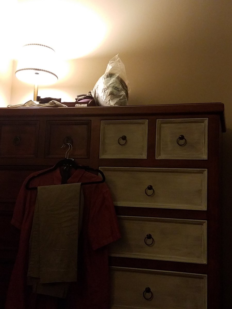 notoriouslmn's tweet photo. The perils of being a @ReconCinemation wife... #MichaelMeyers #wrappedinplastic #staringatme #howamIsupposedtosleep https://t.co/mUSi1fMpaL