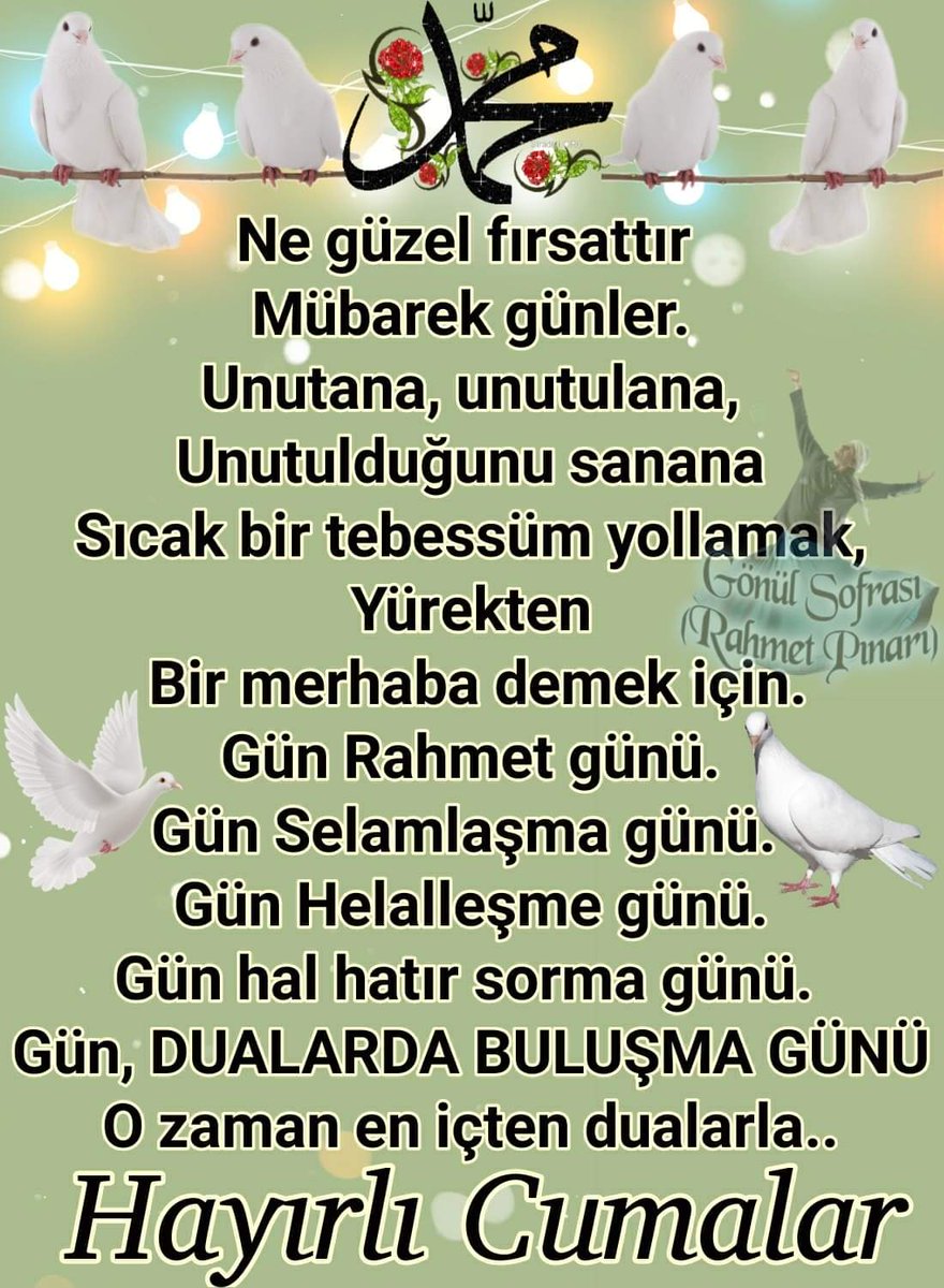 Gülten 44 (@44gulten) on Twitter photo 