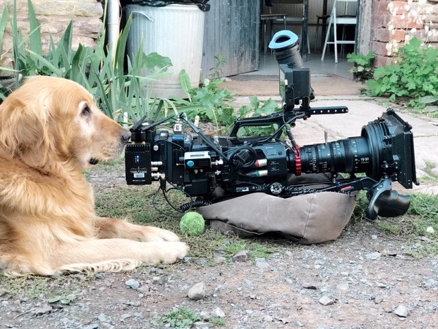 Nigel poised with the essential kit for the last GW until next March.
Tonight 9pm BBC2