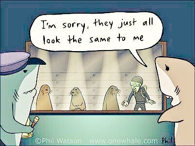mrtom101's tweet photo. #FridayFeeIing #scubahumor #laughteristhebestmedicine https://t.co/L53D4bKSsE