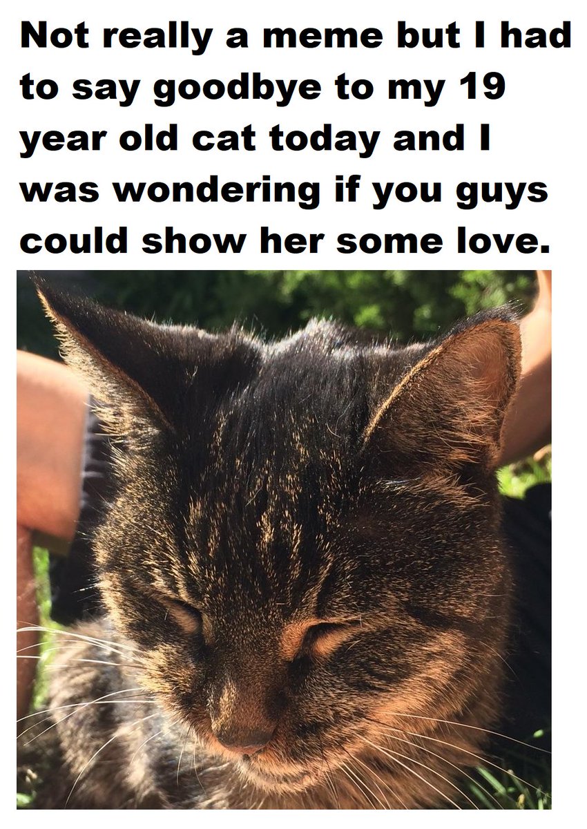 myunclesmemes's tweet image. me😢irl