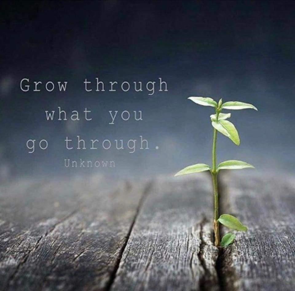 Grow... 

#FridayMotivation #FridayFeeling #quotes #quotestoliveby 
#quotesaboutlife
