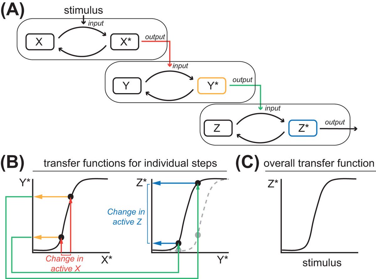 PPPublishing's tweet photo. #EssaysBiochem #EditorialPick This review explores efforts to merge biological experimentation with concepts of communication that emerge from the engineering disciplines of signal processing and control theory https://t.co/LjXCIHk0Hx https://t.co/a2rV06u4DQ